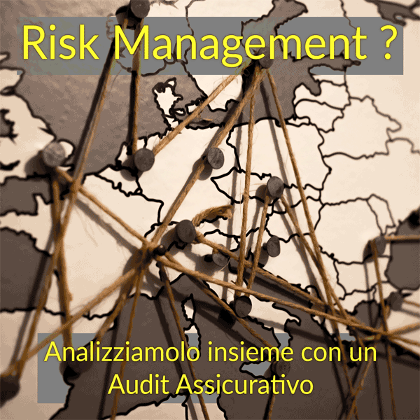 risk management: audit assicurativo Pico